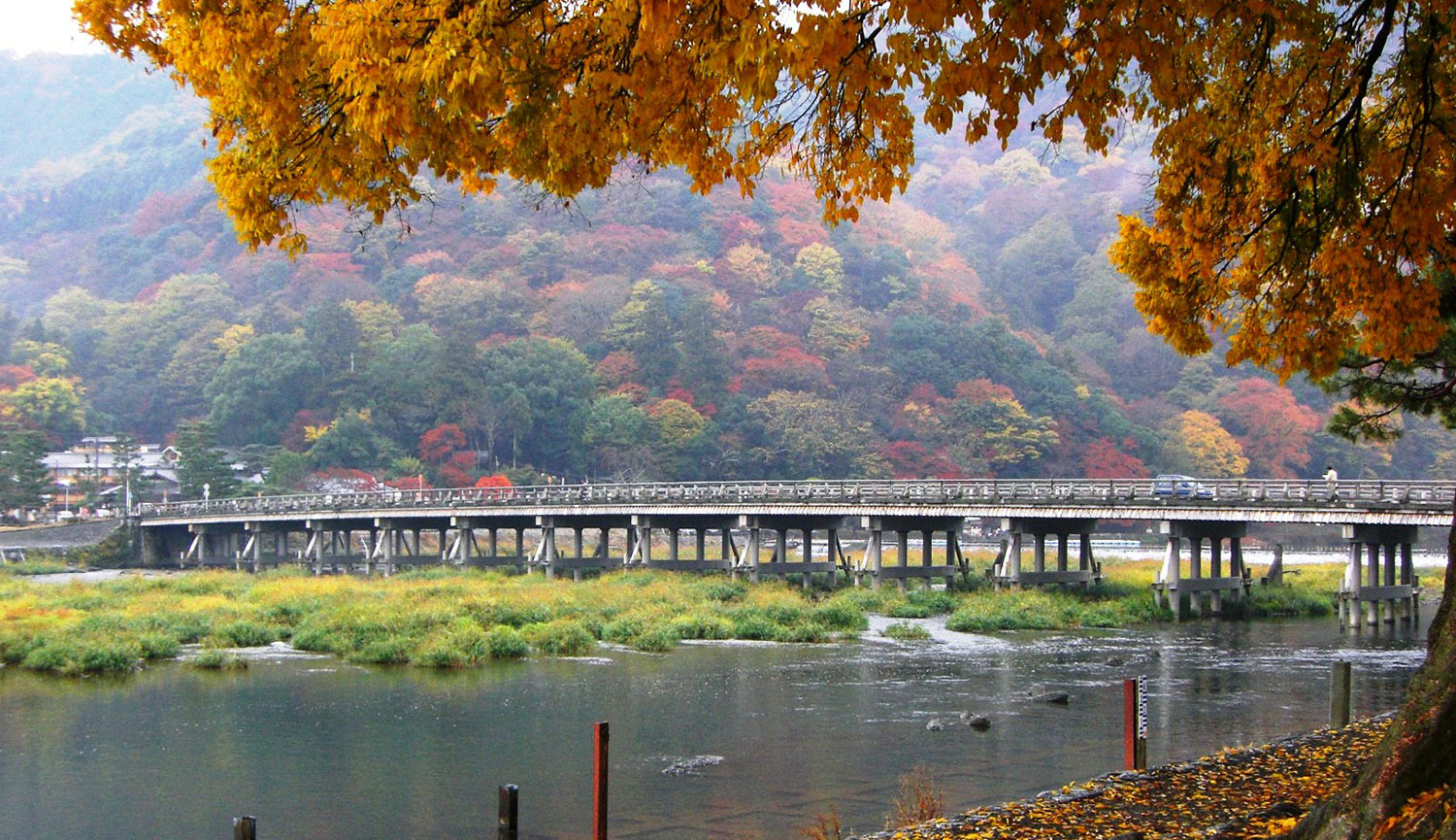 紅葉の頃