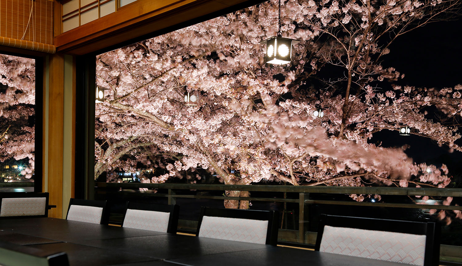 桜の頃