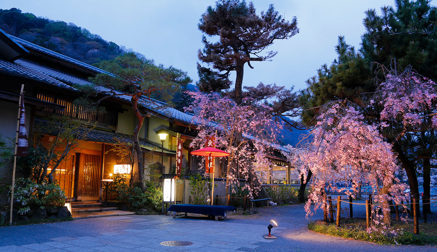桜の頃