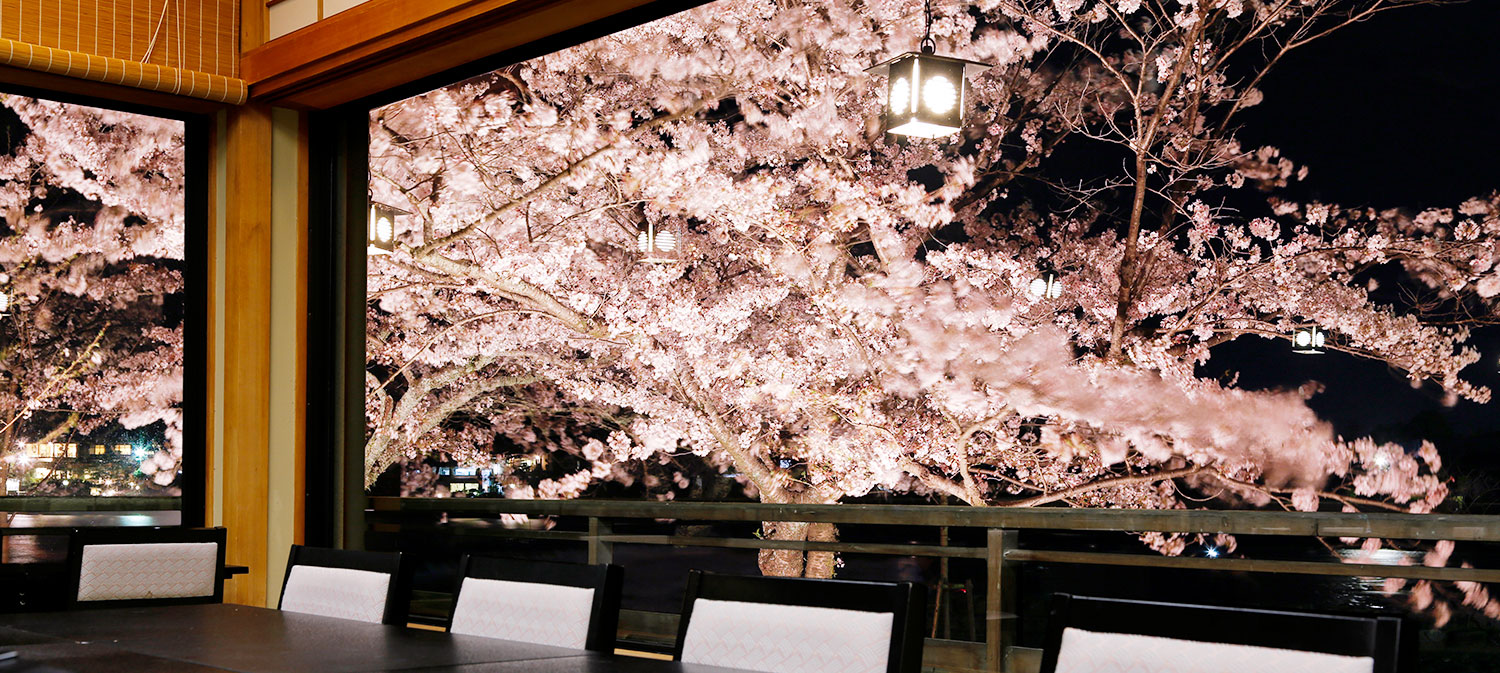 松風閣　夜桜